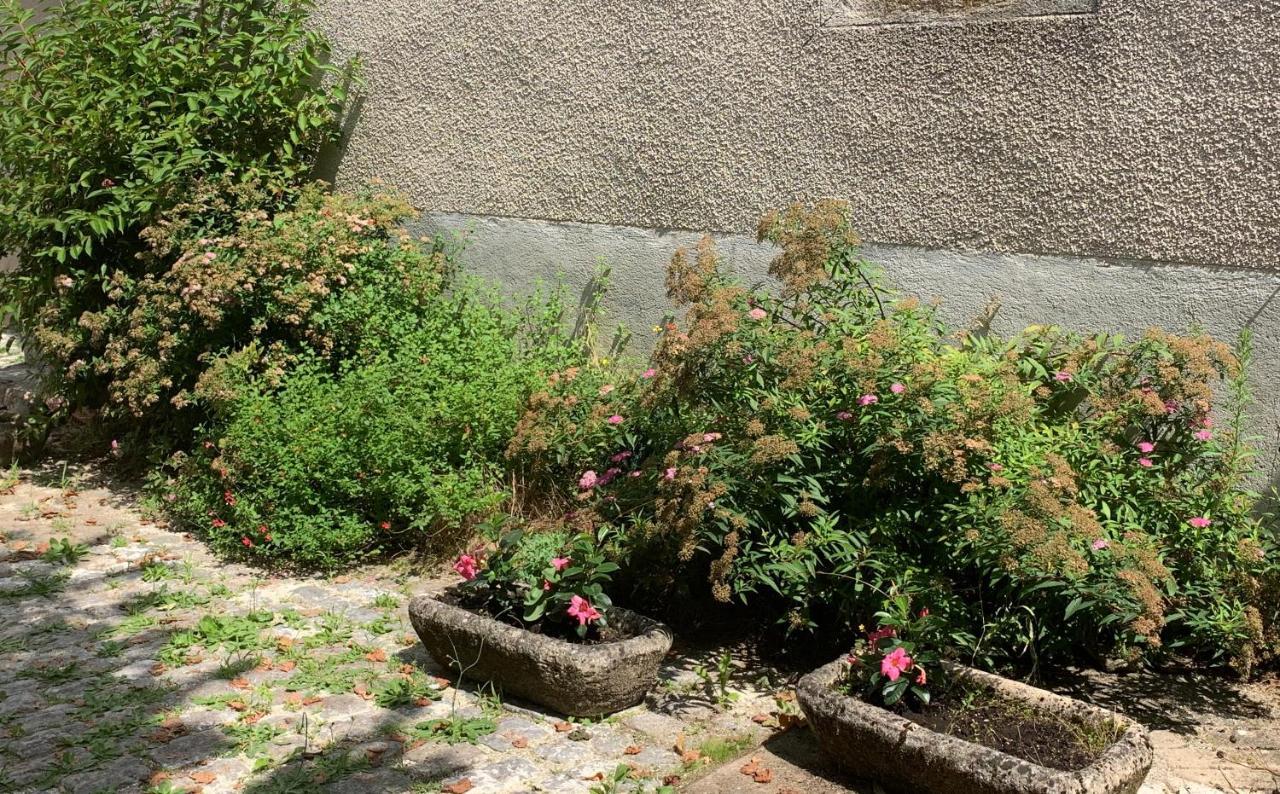 La Cour Pavee, T2 Lumineux, Cosy, Confort 55 M2 Saint Leonard de Noblat Bagian luar foto